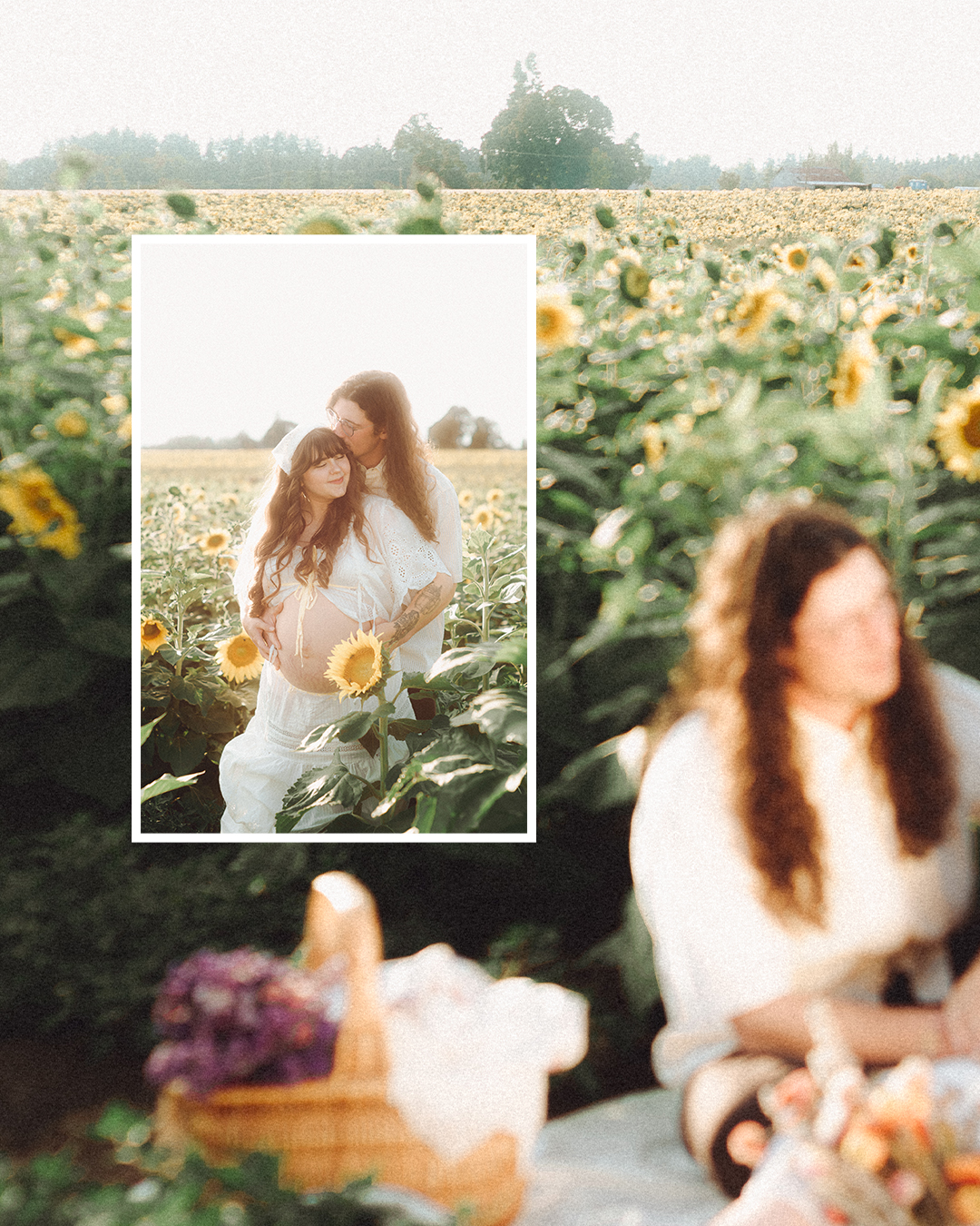 Lovestory Pregnancy Announcement Among the Sunflowers of the Wooden Shoe Tulip Farm — photograph 3 of 39
